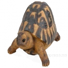   , , 