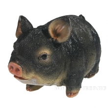 , 