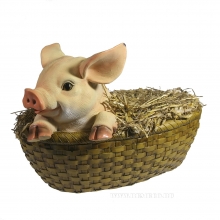 , 