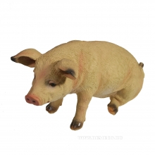 , 