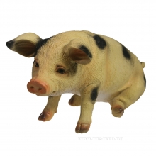 , 