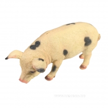 , 