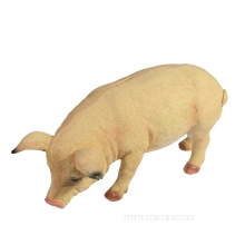 , 