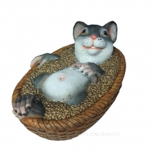, 