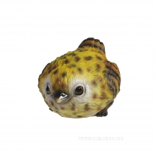 , 