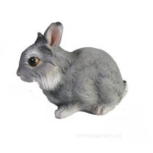 Символ 2023 года Кролик (Кот)