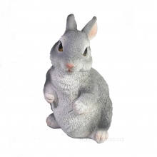 , 