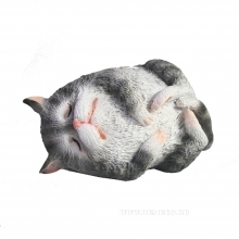 , 