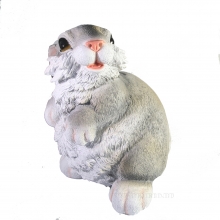 , 