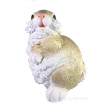 , 